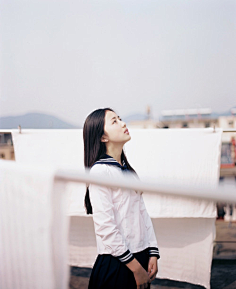 樾下糖麻叶采集到如痴如醉