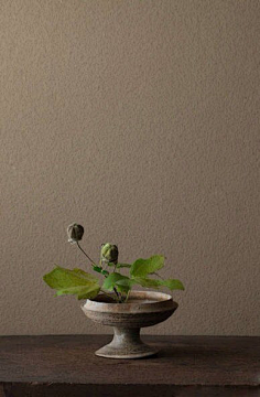 文子琳采集到油画