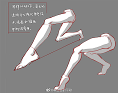 七兆采集到【人体】解剖-速写结构-绘画体型