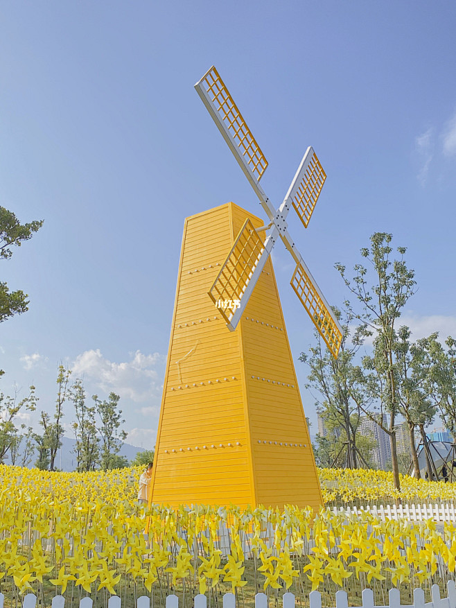福州0元打卡秋日的黄|黄色风车公园 : .