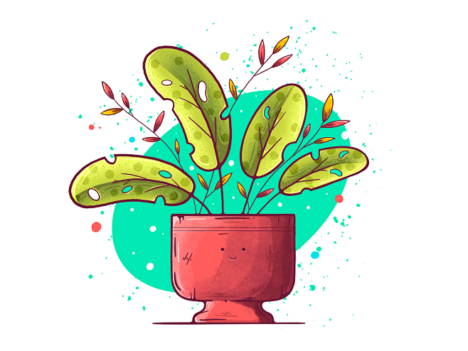 plant.png