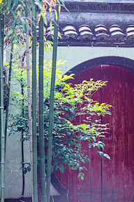 qing_ci采集到呢喃