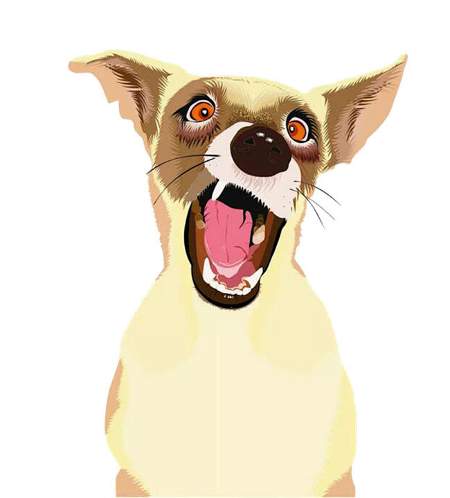 simple_00从danuvius_06转采于2018-11-07 09:57:23凶狠浅色宠物狗