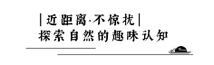 紫金最霸道采集到字体