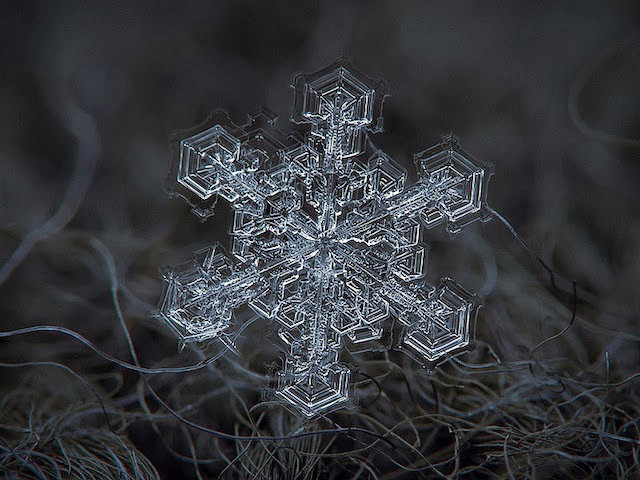 真實小羊從awak轉採於2018-01-30 10:46:33微距鏡頭下の雪花5真實小羊