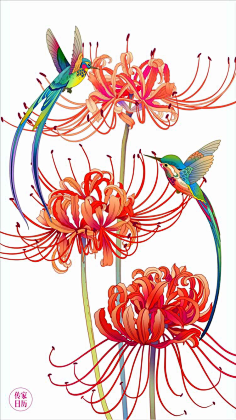 11儿采集到商业插画