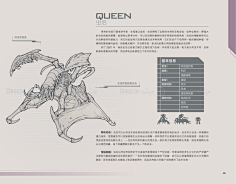Arya_1采集到设定与介绍
