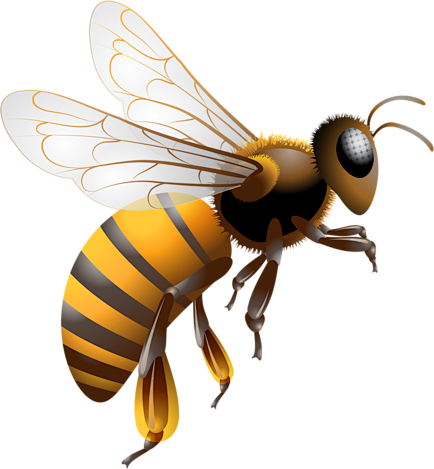 蜜蜂png