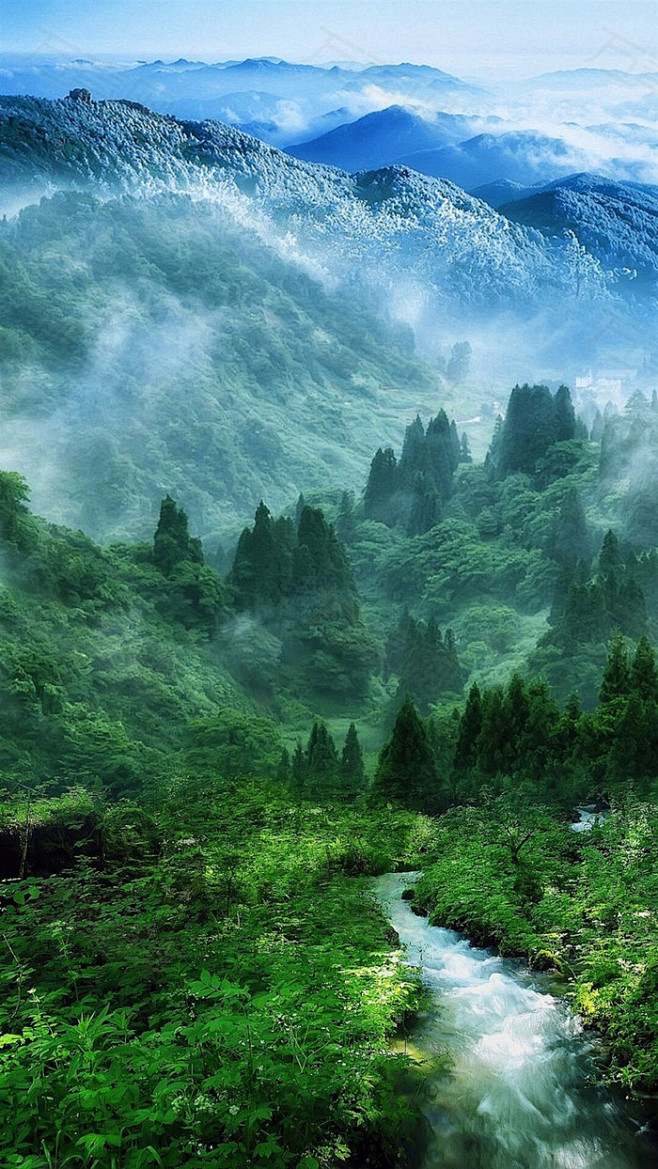 森林 山水风景h5背景