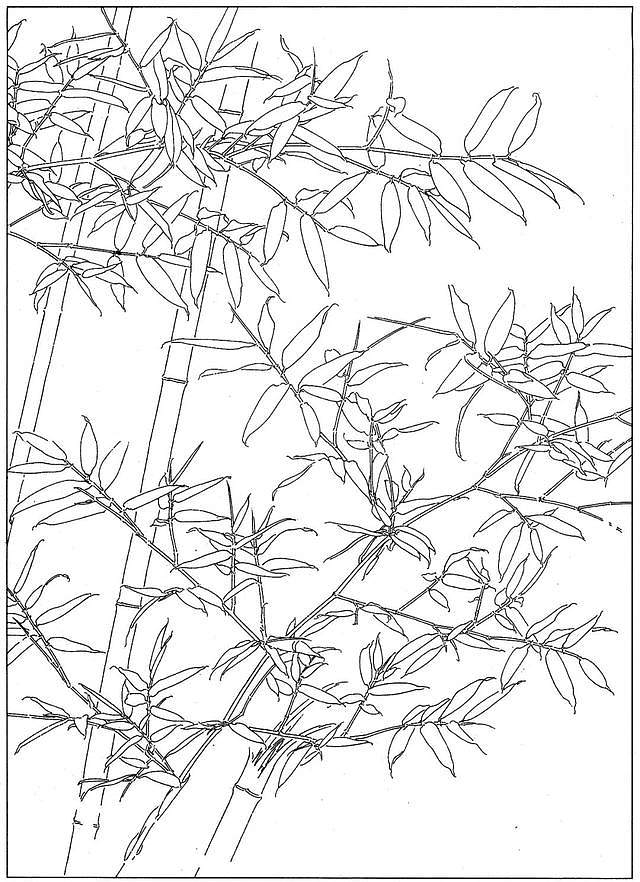 竹子的画法 铅笔画图片