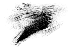 迈克尔杨采集到笔刷,画笔,字画