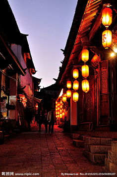 幸运星花采集到节日背景