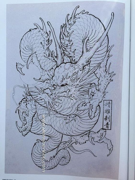 龙的画法纹身图片