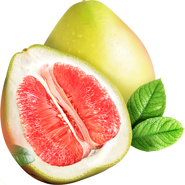 莫名蹦跶一只兔从笨天鹅转采于2021-08-13 14:35:21红柚素材版◇png