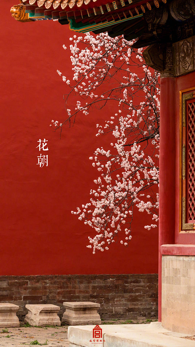 西红柿蛋汤加煎蛋采集到好想去旅行