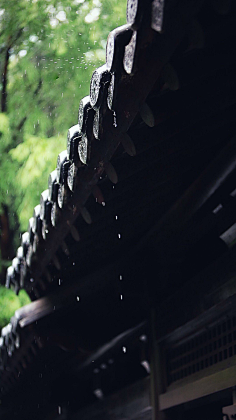 俞大壮采集到美图