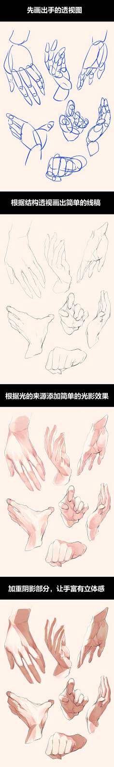 原画梦采集到人体结构