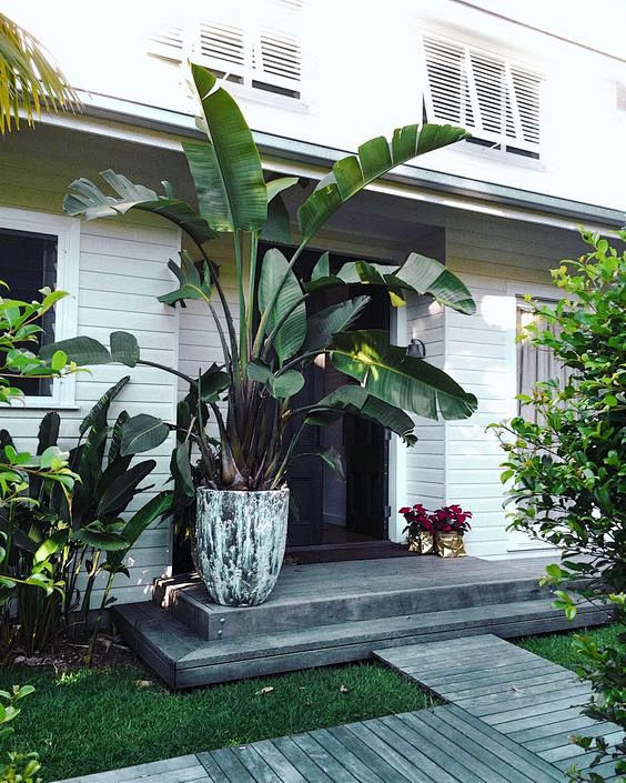 东南亚庭院植物配置