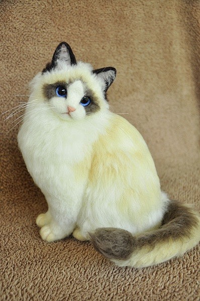 来自雅虎日拍,作者ikona。萌翻我了。