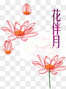半世浮华月光倾采集到节日素材