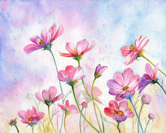 七瓣格桑迎蝶舞-花瓣网|陪你做生活的设计师 | 插画|lofter