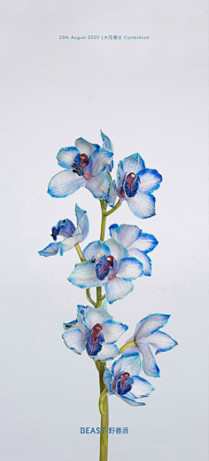 蔡鄙_嘉采集到花、草、树木