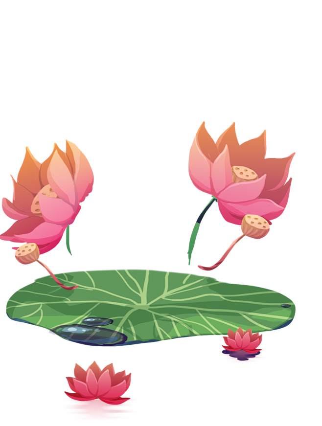 中秋素材 手绘 卡通 荷花 Png 素材