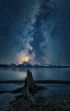 HaleyComet采集到星月夜