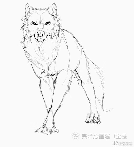 友兮友兮从远离颠倒梦想72转采于2020-12-22 15:41:16狼动物的画法