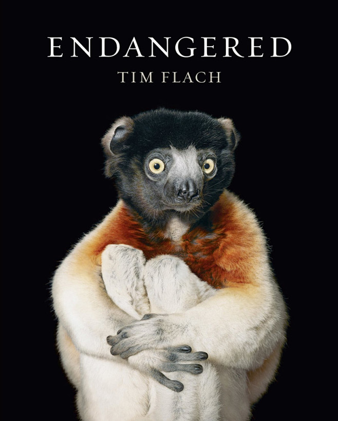 世界上最后一头雄性北非白犀牛