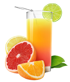 xx仙人掌xx采集到fruit