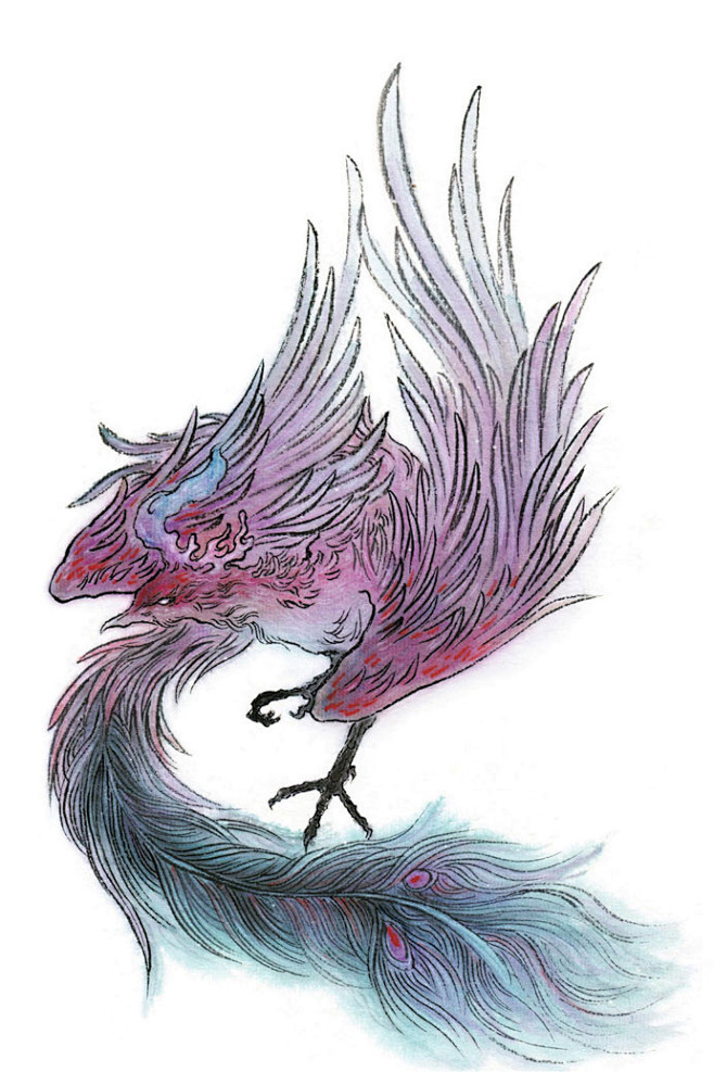 山海经狂鸟有人名曰石夷来风曰韦处西北隅以司日月之长短有五彩之鸟有