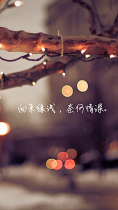 糖荳采集到手写唯美文字壁纸
