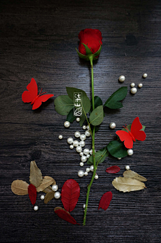 小窝_早上好采集到平面设计