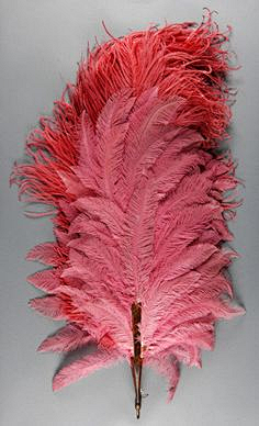 elementfeather羽毛