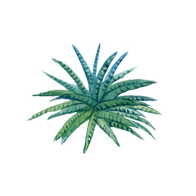 png透明背景素材