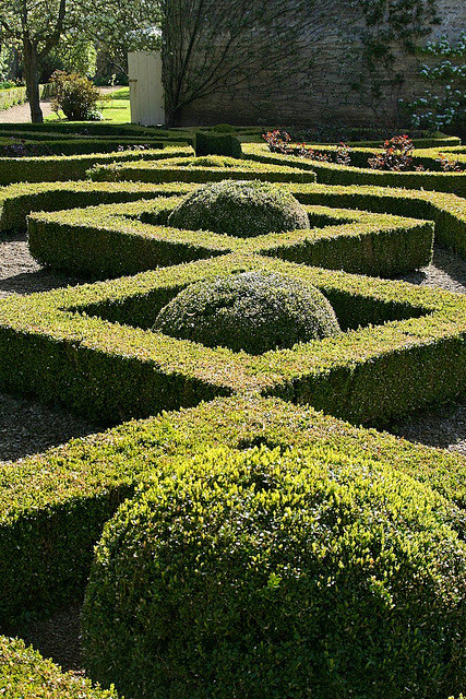 景观绿篱植物设计图集下载绿墙模纹花坛法式园林花园植物树木修剪迷宫