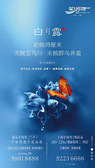 杜伊霖采集到地产