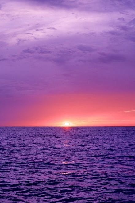 紫色海大海