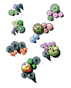 千帆舞风休住喜欢的图片