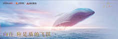 王大木-ECHO采集到一些平面