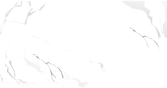 水煮胡萝卜采集到氛围点缀
