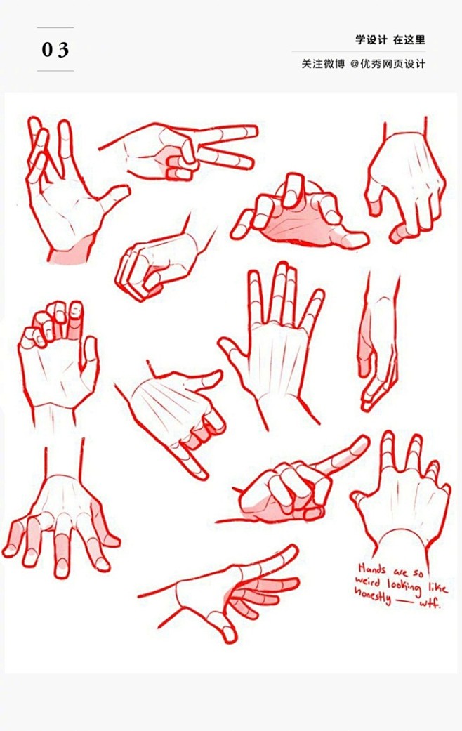 每日手绘上百种手部姿势的表现形式手势难画上百种手势为你提供参考