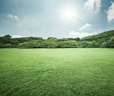 漠然阳关调采集到绿色背景