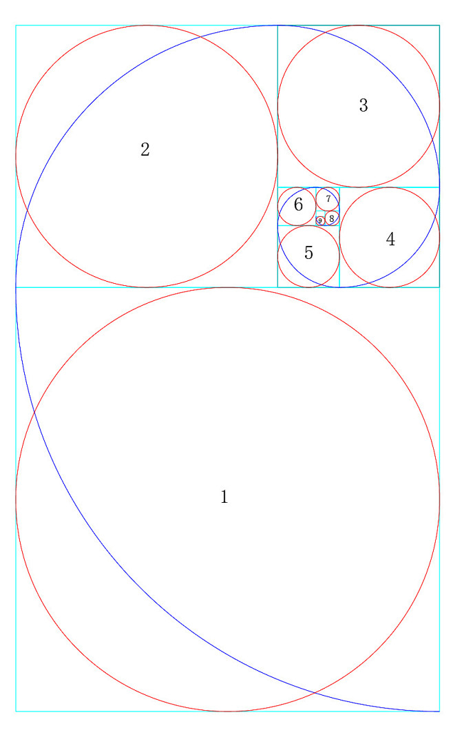 黄金分割律构图图片