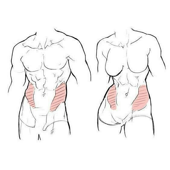 人形练习-花瓣网|陪你做生活的设计师 | 裤子的画法,久违的教程,搬运