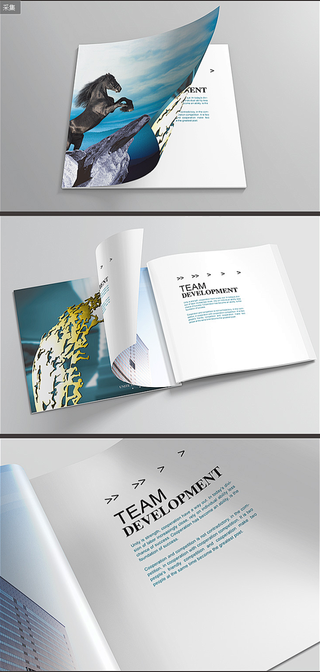 北京公司畫(huà)冊(cè)印刷報(bào)價(jià)_高端畫(huà)冊(cè)定制印刷公司_公司樣本畫(huà)冊(cè)印刷