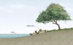 WD-Chubby采集到驳岸