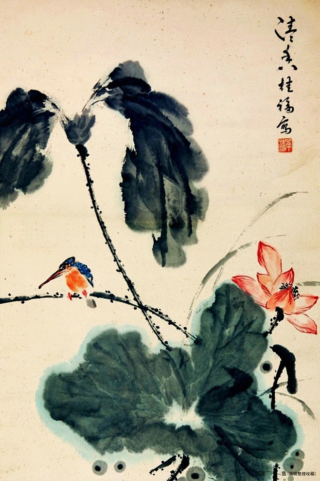 荷花翠鸟图