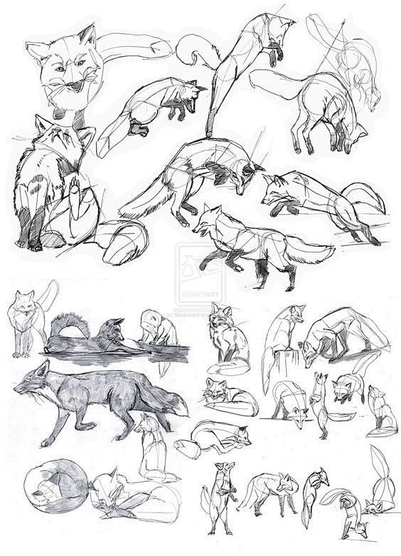 绘画参考动物的绘制参考67676767